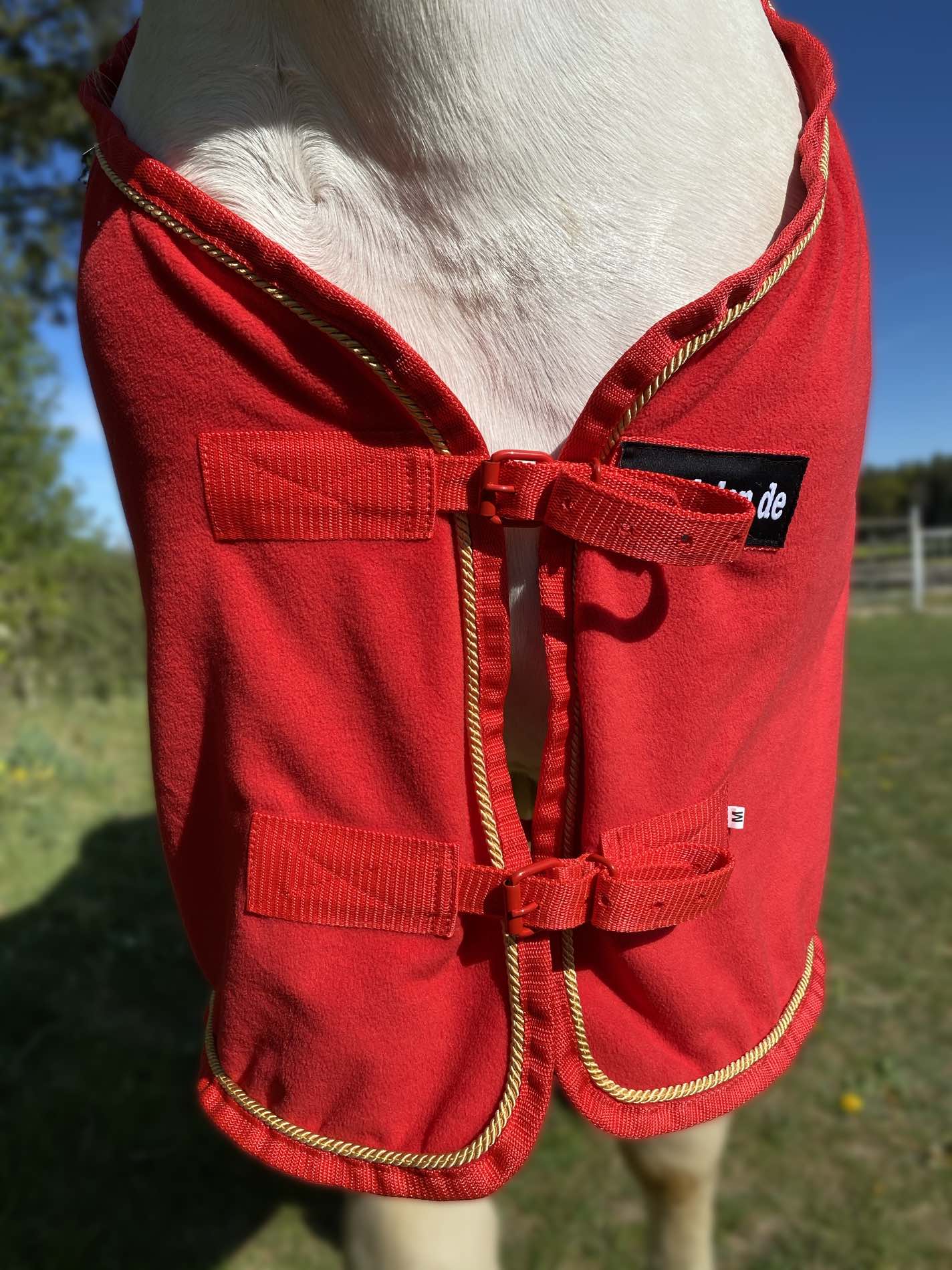 abschwitzdecke-pferd-rot-front