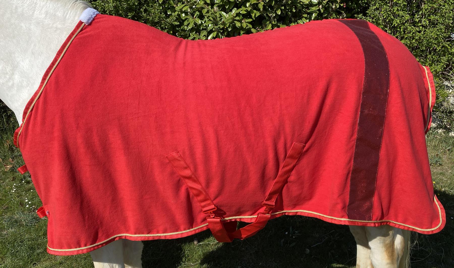 abschwitzdecke-pferd-rot-2