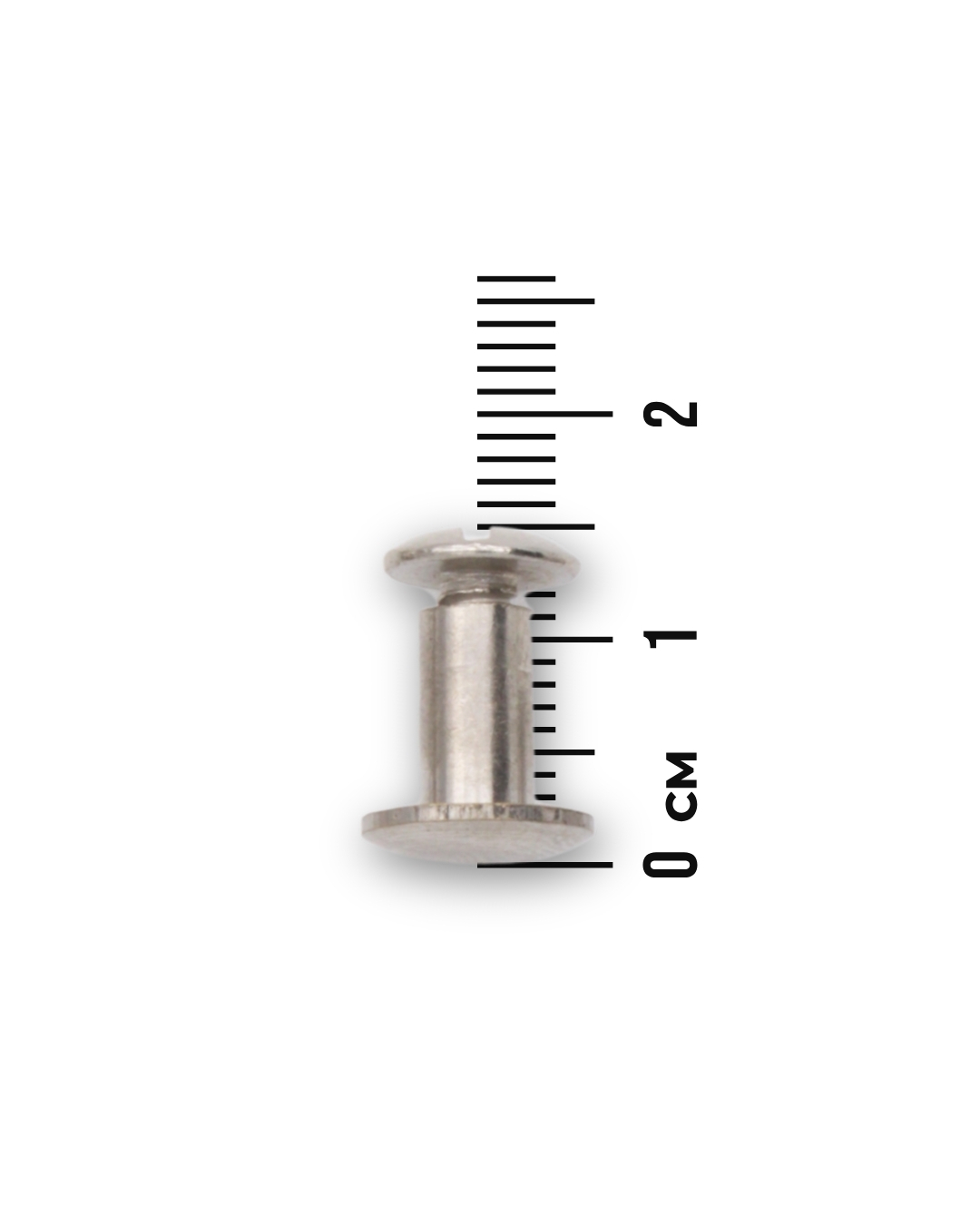 1,5 cm