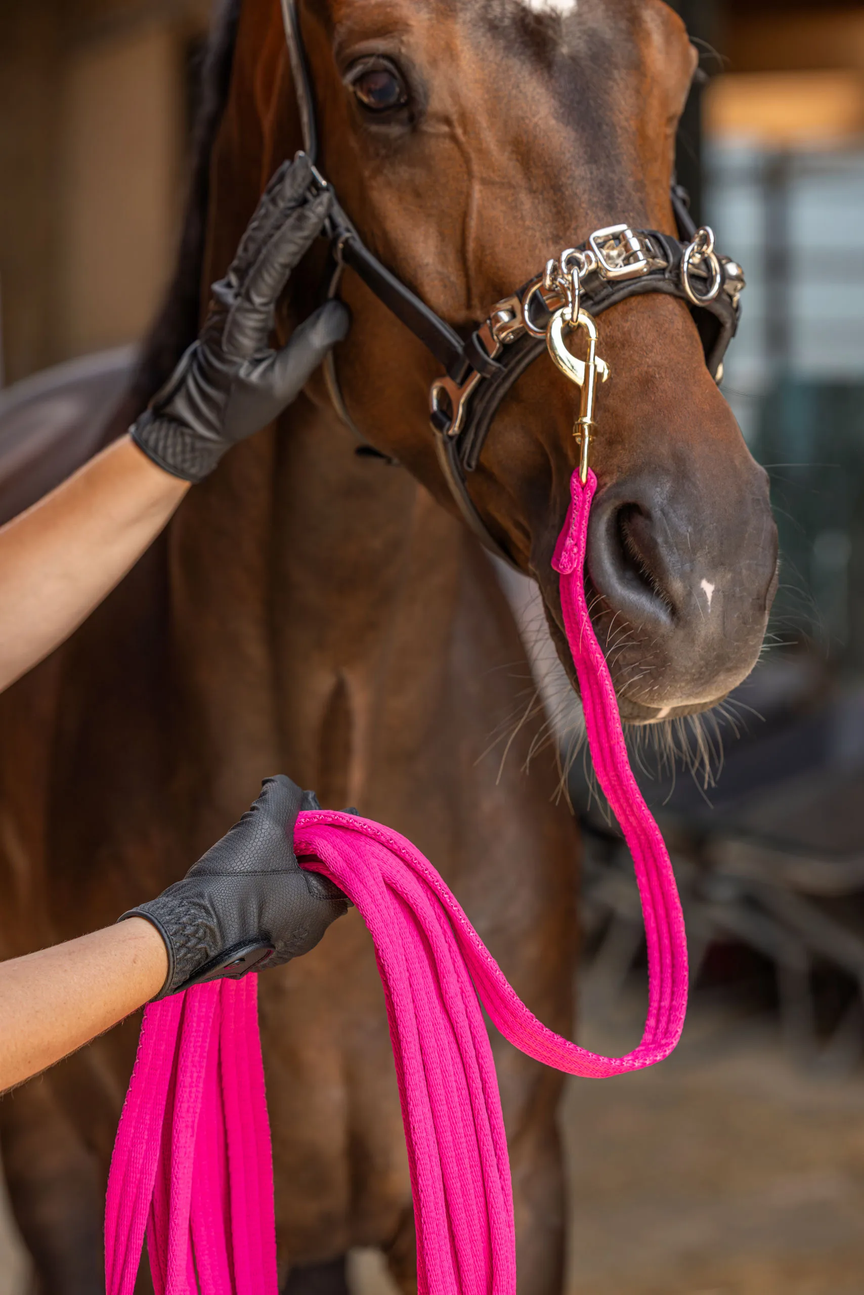 soft double lunge black soft